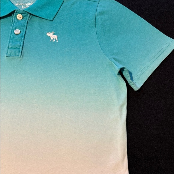 Abercrombie Kids Polo- Ombré Green and White- Size 13/14 - Picture 7 of 15